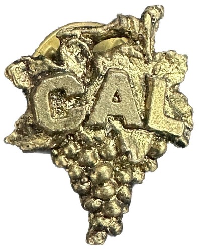 Prendedor solapa sombrero uvas CAL CALIFORNIA metal tono dorado vintage coleccionable ~1994~.