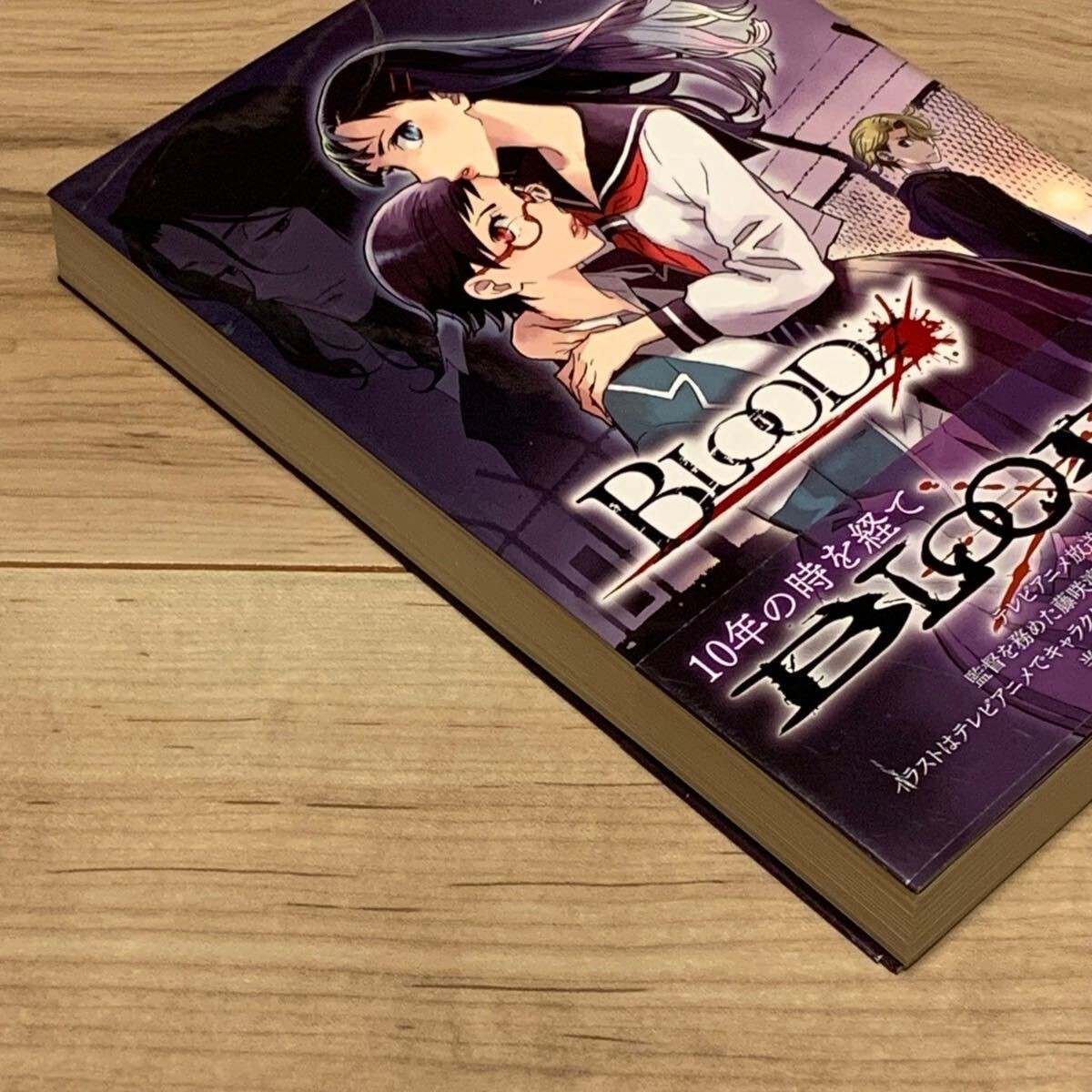 Novel Blood# JAPAN Blood+ Book Japanese Junichi fujisaku MAG