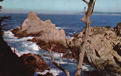 Postcard CA Lobos State Park Pinnacle Point 1966 Chrome Vintage PC f1194