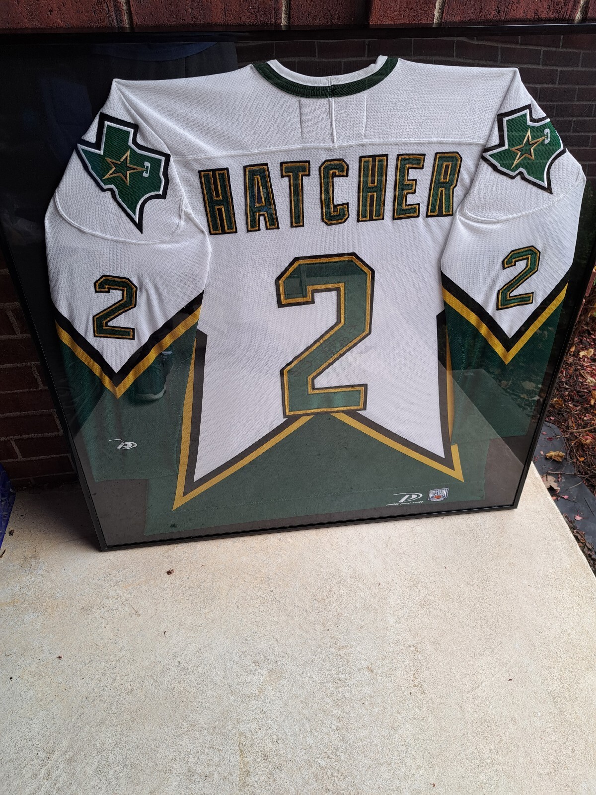 Derian Hatcher Dallas Stars Player Plaque