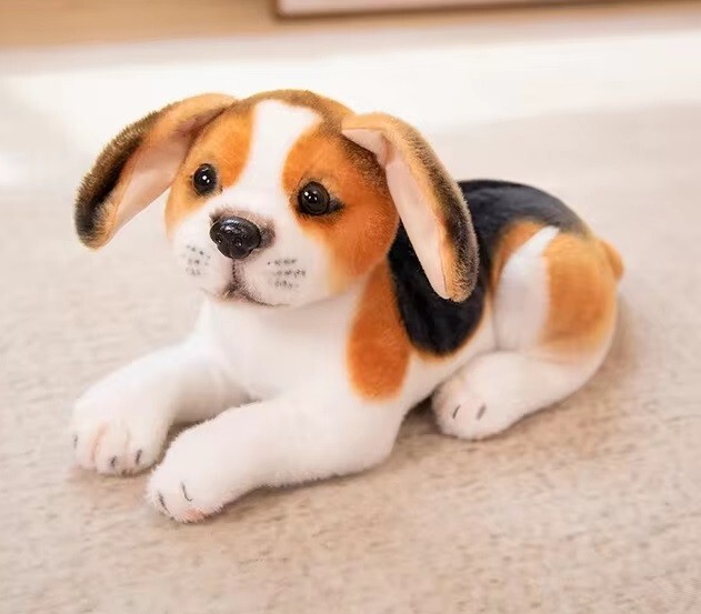 Puppy 10 Inch Beagle At Westminster Dog Show, Miss P, A Beagle
