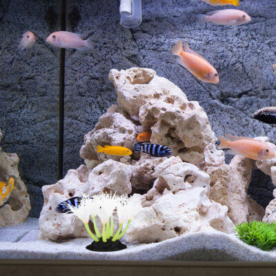 Fish Tank Rockery Decoration Aquarium Accessories Decorative Statues | eBay Fish Tank Rockery Decoration Aquarium Accessories Decorative Statues | eBay