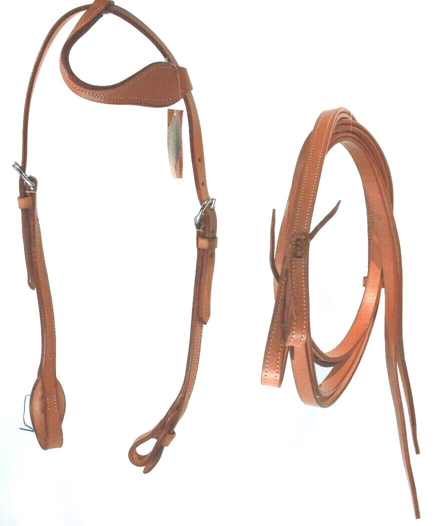 Raglio Del Primo Piano Della Testa Di Un Cavallo Con Redini Su Sfondo Nero 47688141 Raglio Del Primo Piano Della Testa Di Un Cavallo Con Redini Su Sfondo Nero 47688141