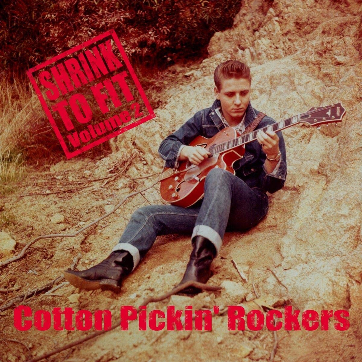 V/A Сжимается по размеру #2 (CD)