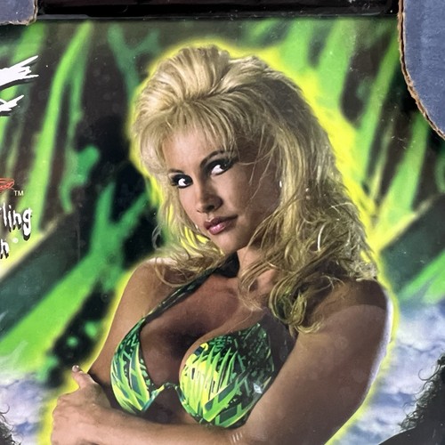 Quadro vintage 8x10 zibellino con cornice World Wrestling Federation Captiva Inc. - Foto 3 di 14
