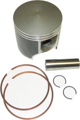 WSM Platinum Series Piston Kit 010-809-07PK | eBay