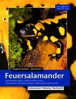 Feuersalamander Stefan Schorn (U. A.) Taschenbuch Terrarien Bibliothek 141 S.