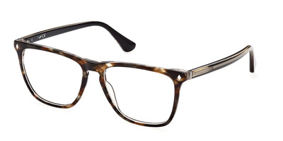 WEB WE5390 050 Havana Square Plastic Optical Eyeglasses Frame 55-16-145