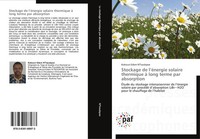 Kokouvi Edem N'tsoukpoe | Stockage De L'éNergie Solaire Thermique à Long...