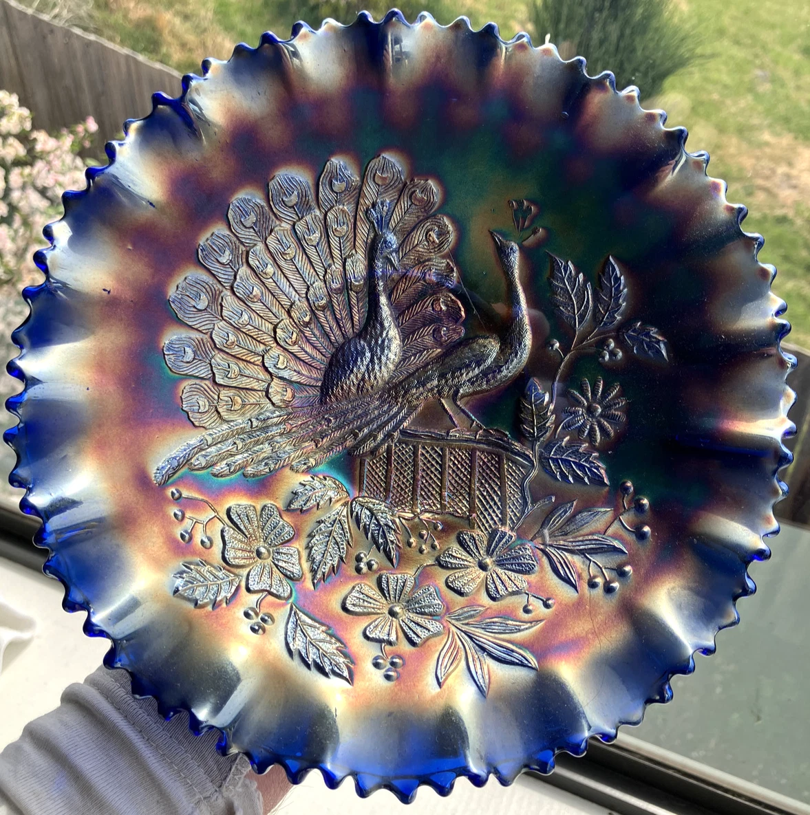 Picture 15 of 24