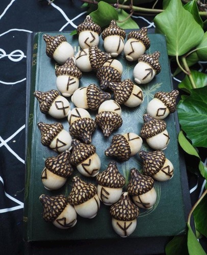 Elder Futhark Rune Acorn  Norse Runes - with Bag & Information Sheet