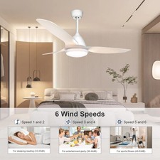 Ceiling Fan Light 52"