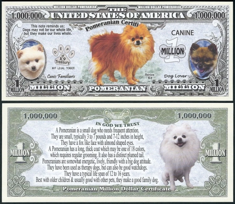 Lot of 25 BILLS - Pomeranian Dog Million w/ Puppy & Adult Pics, Facts on Back