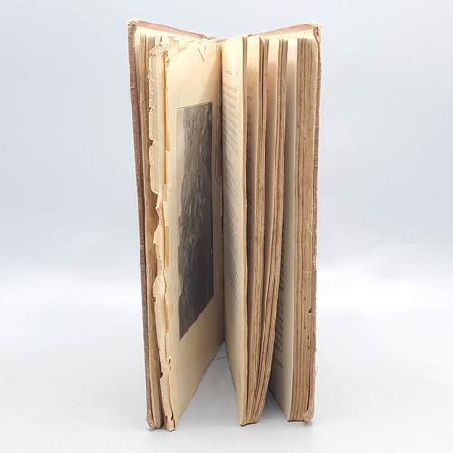 Italy’s Great Horror Earthquake & Tidal Wave Eruption 1909 Antique Disaster Book - Picture 4 of 24