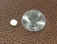 JHB BUTTONS #70250 PEARL- SHANK- 1/4"-- 8 BUTTONS IN A SET