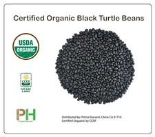 Organic Turtle Black Beans non-GMO USDA Certified Bulk Clean Safe Grown in USA