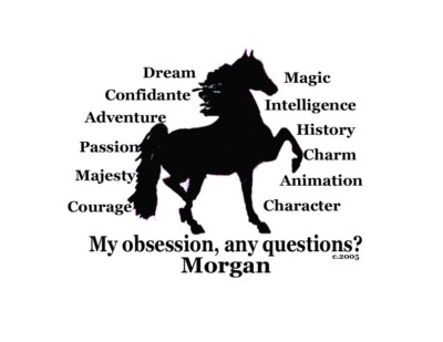 Morgan Horse My Obsession, Any Questions? T-shirt Choices Our design