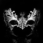  Luxury Spider-Web Metal Venetian Masquerade Mask for Women M7148 [Silver]