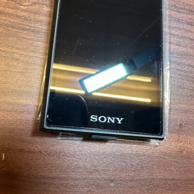 SONY ウォークマン NW-A106 デジタルオーディオプレーヤー 2342 SONY Walkman NW-A106 Digital Audio Player 2342 From Japan | eBay