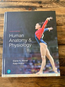 Human Anatomy and Physiology 11th Edition 9780134580999 | eBay