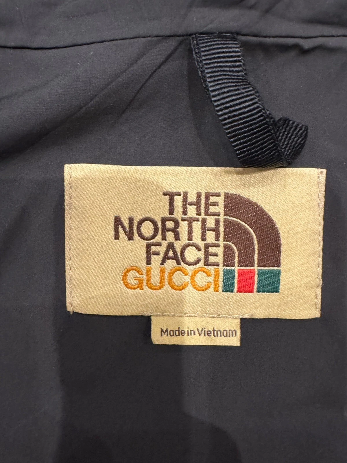 giacca gucci x north face