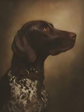 German Shorthaired Pointer Oil Painting Print on Canvas Art Unframed 30x40cm