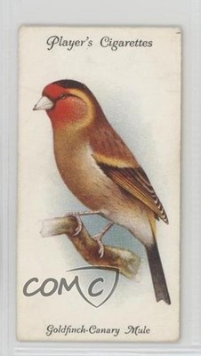 1933 Player's Aviary and Cage Birds Tobacco Goldfinch-Canary Mule #14 2k3