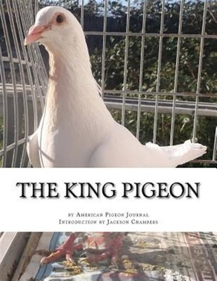 King Pigeon, Paperback by Chambers, Jackson, Brand New, Free shipping in the US