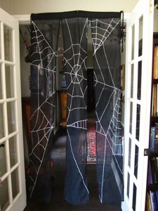 Euc Pottery Barn Kids Sheer Black Fabric Spider Web Halloween