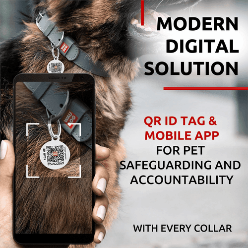 Long Lasting Leather Dog Collar for Large Dogs Medium & Small Dogs Adjustable - Picture 5 of 6