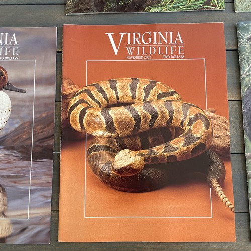 Near Complete Set of Virginia Wildlife Magazines 2002 - w/Trout Fishing Guide - Picture 11 of 12