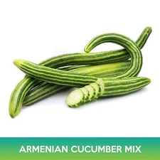 Armenian Cucumber Mix Seeds, Snake Cucumber, Combined Shipping on 500+ Seed 
