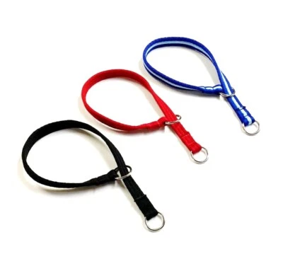 AJ PET ACCESSORIES Dog Slip Collar 25mm Soft Air Webbing For Training Walking Various Size Colours