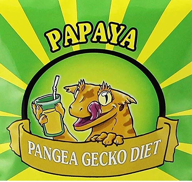 pangaea gecko food