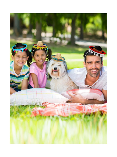 Sombrero Party Hats, Classic Cinco De Mayo Sombrero Headbands, Mini Mexican P... - Picture 8 of 8