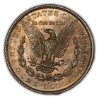 1879-S $1 Morgan Dollar - Semi PL - Autumnal Rainbow Toning - BU - VIDEO - D3899