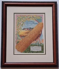 LACKAWANNA OATS & MASTODON CORN, 1890s Seed Catalog Chromolithograph, Framed