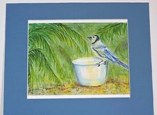 "A Bluejay's Waterhole" Orig Watercolor Painting Palm Fronds Wildlife Drinking 