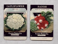 CAULIFLOWER / RADISH Litho 1920's Seed Packets