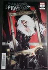 THE AMAZING SPIDERMAN #2! VILLALOBOS BLACK CAT VARIANT COVER! VF 2025 MARVEL