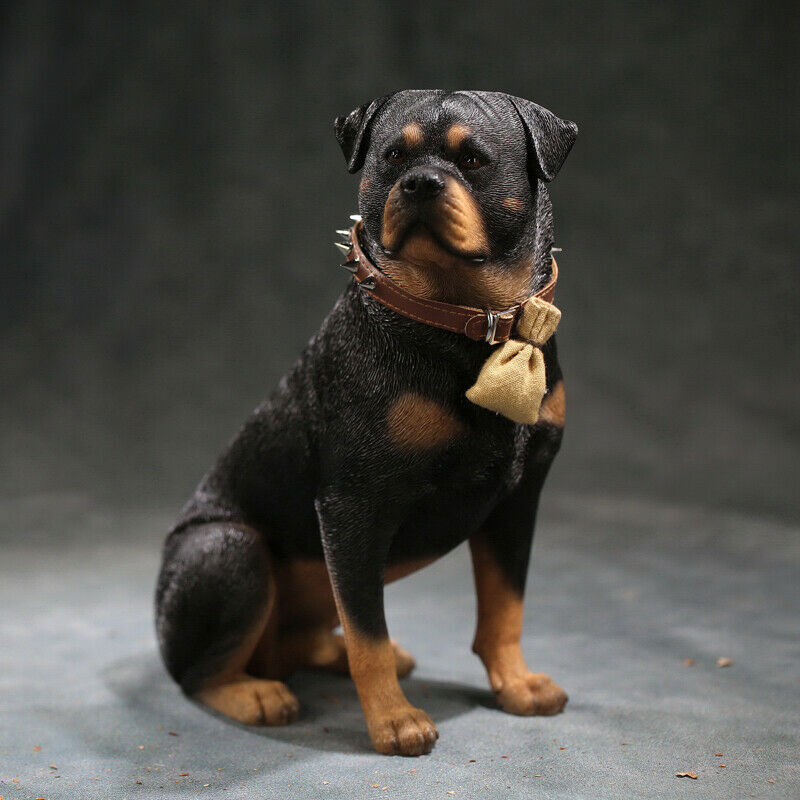 新品BONEZ DragonAsh COOTIE ROTTWEILER Rottweiler – JEKCA US