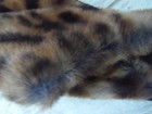 Bild 8 von 8