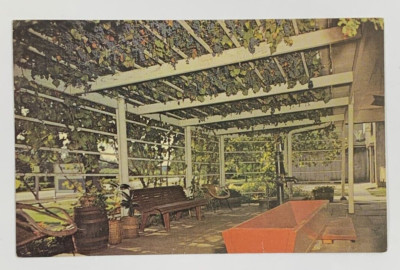 Ackeman Winery Inc South Amana Iowa Postcard Unposted