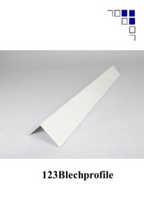 Blechwinkel weiß