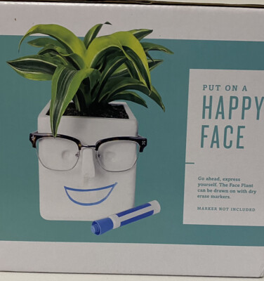 FACE Plant | Novelty Planter Holds Plants Glasses & You Can Draw On