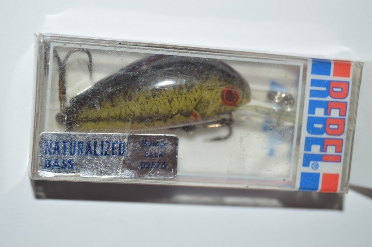 bass humpback lures rebel older rebel lure deep humpback d2576 humpy rattles crankbait naturalized  bass
