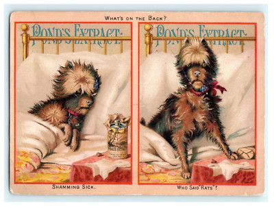 Pond's Extract Victorian Trade Card Before & After Sick Dog Quack Medicine