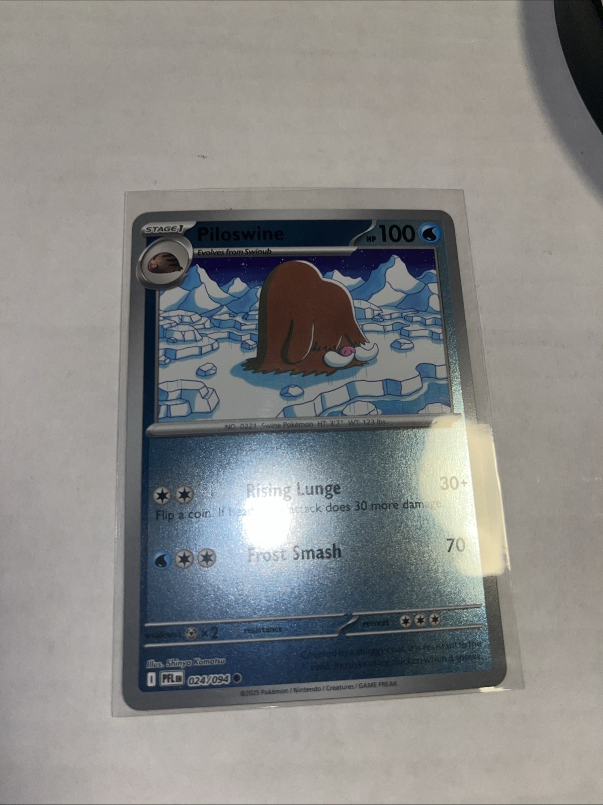 Piloswine 024/094 Me02: Phantasmal Flames Reverse Holo