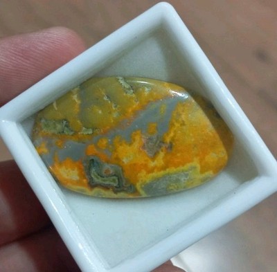 46.40 CT Jasper Natural Bumble Bee origen Africa 