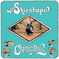 Skinshape - Craterellus Tubaeformis - Vinyl Record Vl - G1398Z
